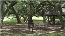 Picnic tables, grill, pavilion and swing set