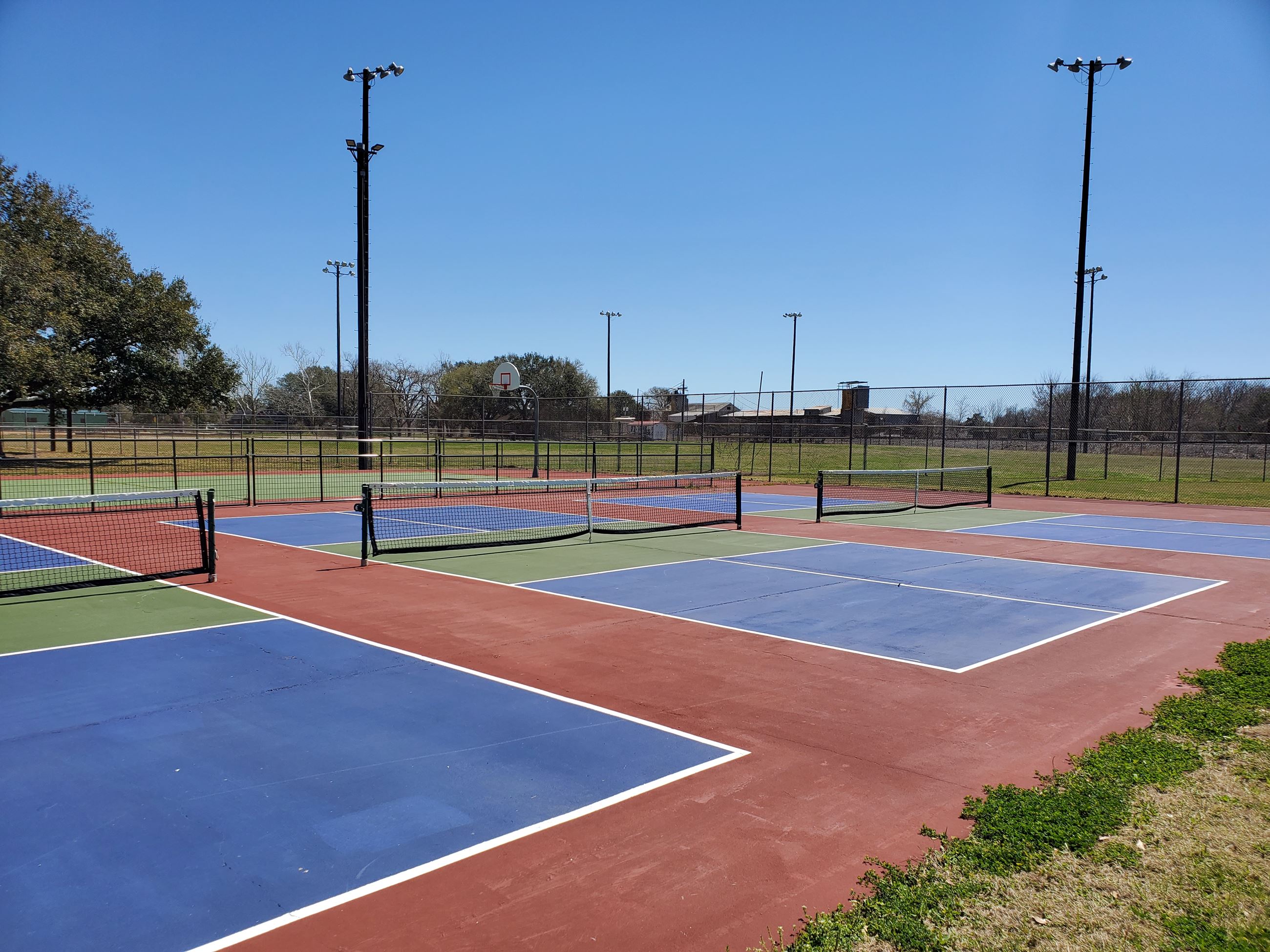 image of pickleball court