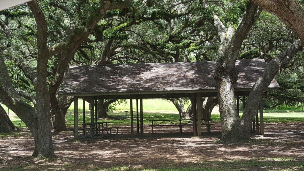 Pavilion under the trees