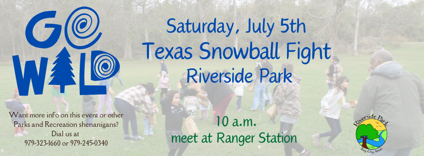 Snowball Fight Flyer