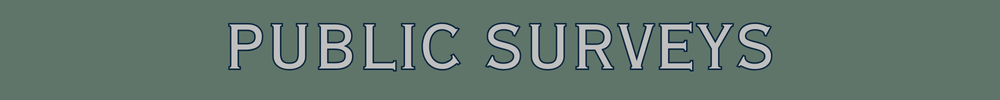 Public Surveys