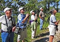 Birding Group of People